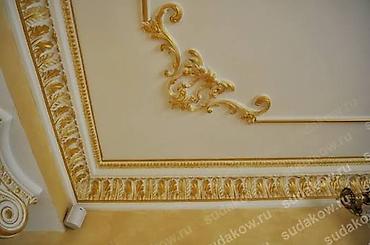 gold shinshila: Lepkaların qızıli rəngdə boyanması sərfəli qiymətə Əlaqə nömrəsi — 2