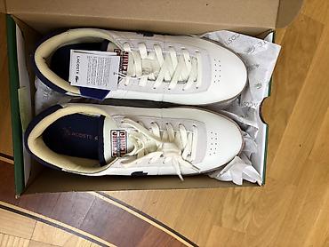 Satilir original Lacoste yenidir amerikadan alinib lalafo.az -da Satilir original Lacoste yenidir amerikadan alinib