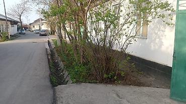 Продажа коттеджей и домов: Продаётся дом с большим участком — 2