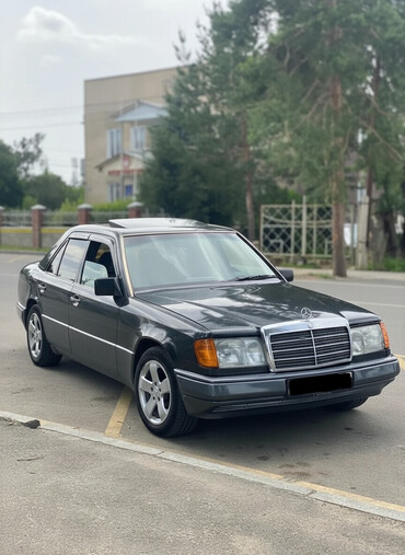 Mercedes-Benz: Mercedes-Benz W124: 1991 г., 2.2 л, Автомат, Газ, Седан — 2