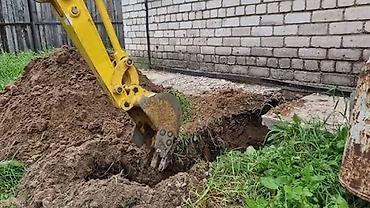 саженцы кочот: Услуги экскаватора | Водопровод, Планировка участка, Демонтаж — 2