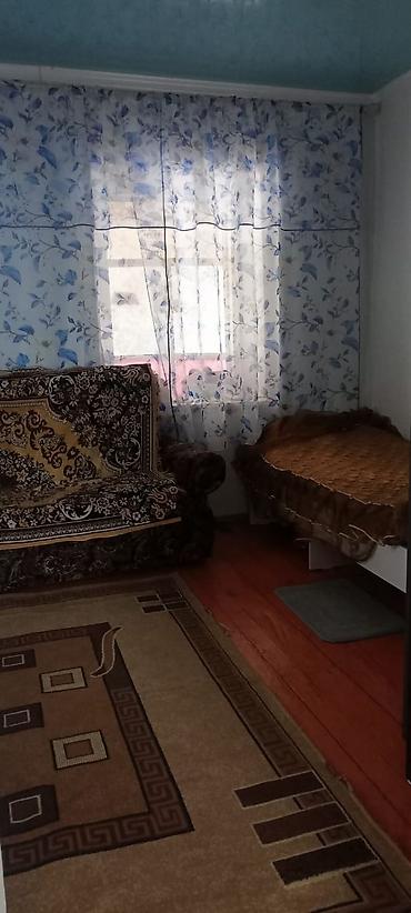 Продажа магазинов: Продаётся дом с действующим магазином.находится в селе вознесеновка,ул — 12