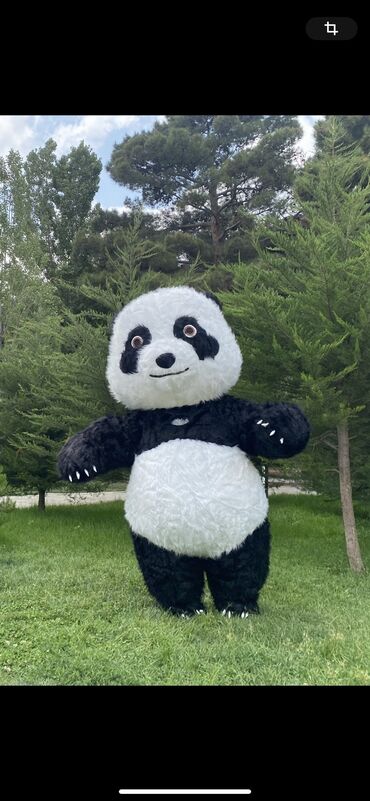 hava yeri: ✅ Super Panda 2.6 m mövcuddur  Tez geri qaytarılan biznes ❗️