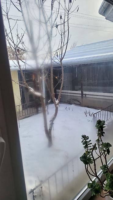 Продажа коттеджей и домов: Продается отличный дом!Экологически чистый район,(новый футбольный — 5