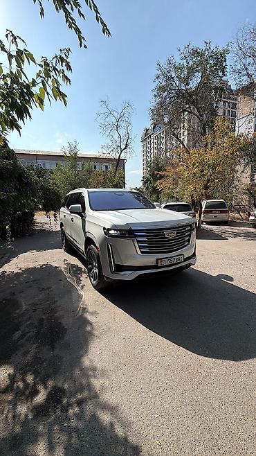 купить escalade: Cadillac Escalade: 2021 г., 6.2 л, Автомат, Бензин, Внедорожник — 2