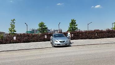 келет: Toyota Camry Solara: 2004 г., 3.3 л, Автомат, Бензин, Купе — 10