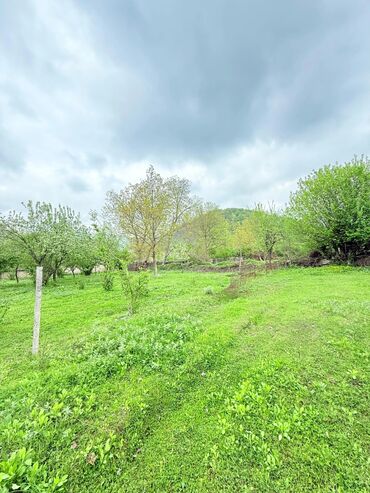 Torpaq sahələrinin satışı: 15 sot, Tikinti, Mülkiyyətçi, Kupça (Çıxarış) — 6