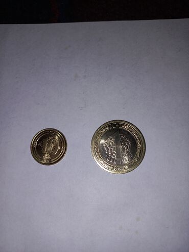 Монеты Турции. 10 крушения и 1 лира(биметалл). 2023 год. Состояние