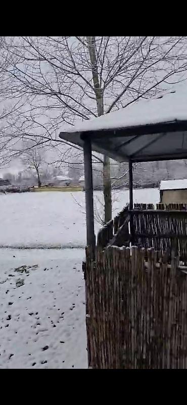 Bağ evlərinin satışı: Qəbələ, 16000 kv. m, 3 otaqlı, Hovuzsuz, İnternet — 4