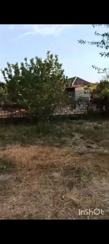 Torpaq sahələrinin satışı: 18 sot, Kənd təsərrüfatı, Mülkiyyətçi, Kupça (Çıxarış), Texniki pasport — 10