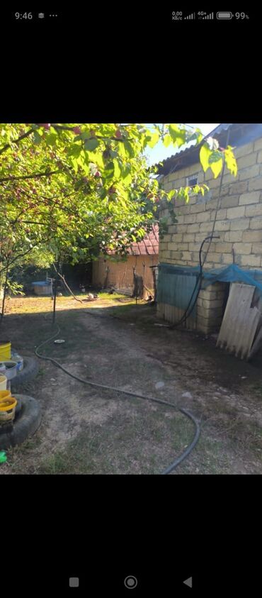 Bağ evlərinin satışı: Lənkəran rayonun Biləsər kəndinin mərkəzində Xanbulan gölünün — 4