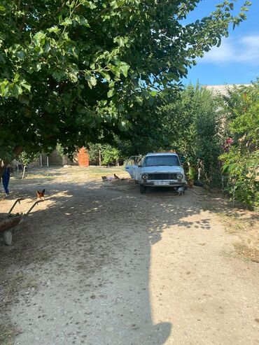 Həyət evləri və villaların satışı: 3 otaqlı, 100 kv. m, Kredit yoxdur, Yeni təmirli -da lalafo.az — 6 Həyət evləri və villaların satışı: 3 otaqlı, 100 kv. m, Kredit yoxdur, Yeni təmirli — 6