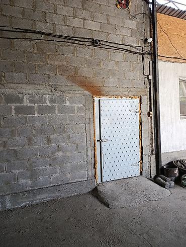 Промышленные холодильники и комплектующие: Промышленная холодильная и морозильная камера с оборудованием и — 16