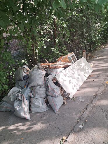 большие попугаи: Дрова с выводом мусора бесплатно