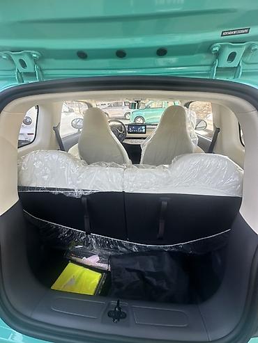 byd e2 батарея: Microcar : 2026 г., Автомат, Электромобиль — 5
