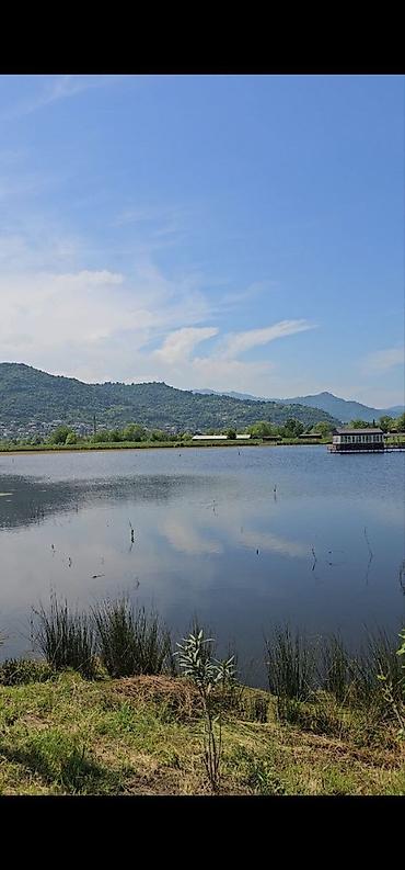 balaxanida torpaq: 350 sot, Kənd təsərrüfatı, Mülkiyyətçi, Kupça (Çıxarış) — 1