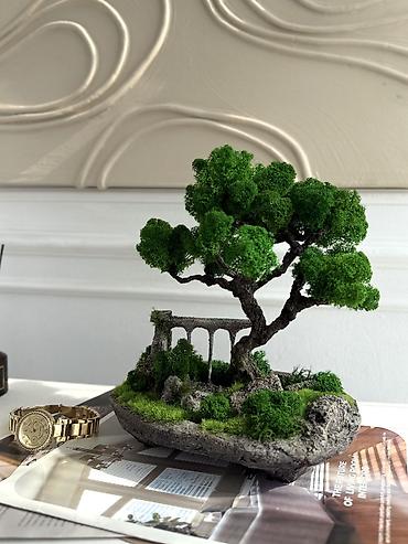 Другой декор и предметы интерьера: Декоративное дерево бонсай, выполненное из стабилизированного мха — 50