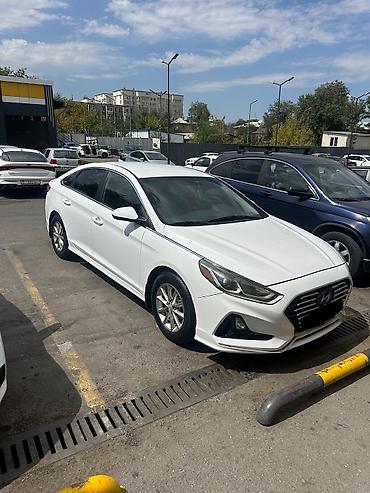 sonata 2012: Hyundai Sonata: 2019 г., 2.4 л, Автомат, Бензин, Седан — 2