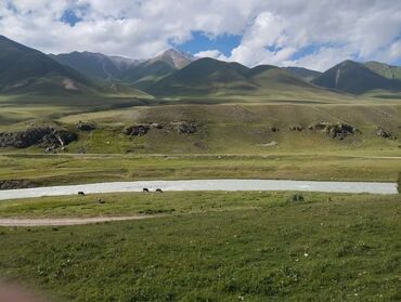 дайар бизнес сатылат: Бизнес үчүн башка жабдуулар