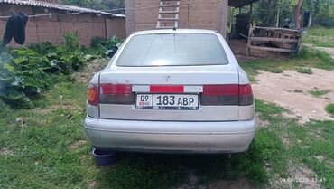 Fiat: Fiat : 1998 г., 1.6 л, Механика, Бензин, Хэтчбэк