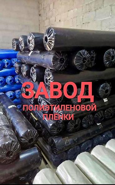Тип пленки, Новый, Бесплатная доставка