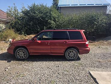 Subaru: Subaru Forester: 2001 г., 2 л, Автомат, Кроссовер — 3