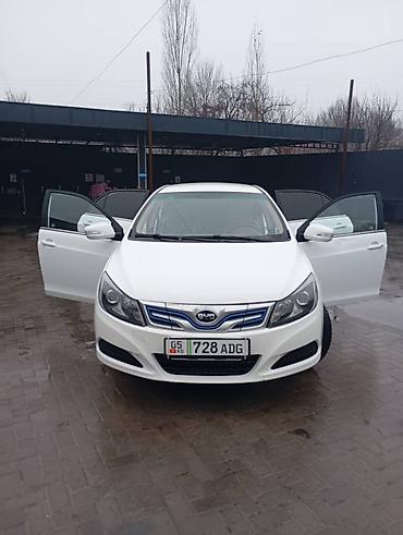 BYD: BYD E5: 2019 г., Электромобиль, Седан — 4