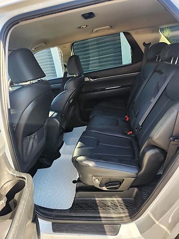 devo matiz: Hyundai Palisade: 2021 г., 2.2 л, Автомат, Дизель, Кроссовер — 9