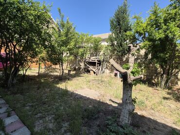 Həyət evləri və villaların satışı: 3 otaqlı, 63 kv. m, Kredit yoxdur, Yeni təmirli -da lalafo.az — 13 Həyət evləri və villaların satışı: 3 otaqlı, 63 kv. m, Kredit yoxdur, Yeni təmirli — 13