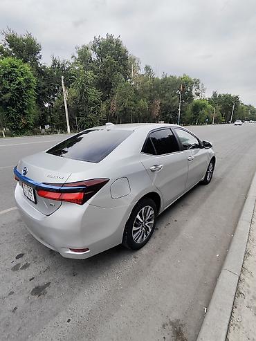 e53 amg: Toyota Corolla: 2020 г. — 4
