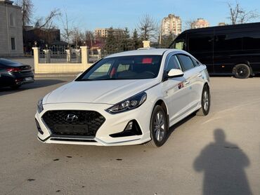 сонату: Hyundai Sonata: 2020 г., 2 л, Автомат, Газ, Седан