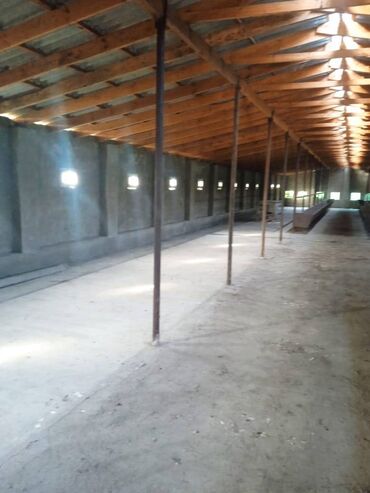 Torpaq sahələrinin satışı: 40 sot, Kənd təsərrüfatı, Mülkiyyətçi, Kupça (Çıxarış) — 4