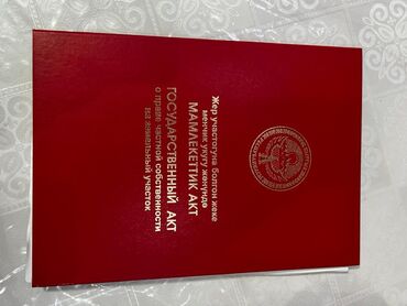 жайыт жер: 6 соток, Айыл чарба үчүн, Кызыл китеп, Сатып алуу-сатуу келишими, Башкы ишеним кат