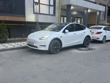 Tesla: Tesla Model Y: 2023 г., Электромобиль, Кроссовер — 6