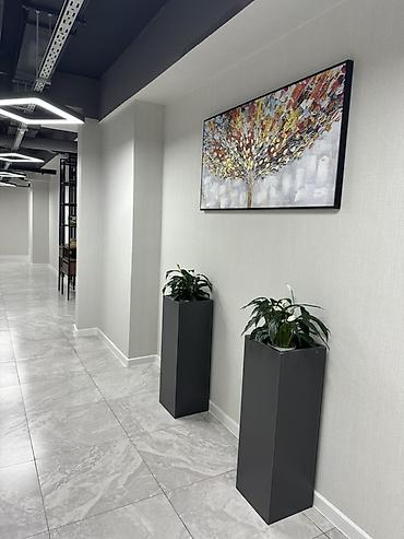купить комнату под прописку: Сдаю Офисный кабинет: 20 м², С ремонтом, Первая линия — 5