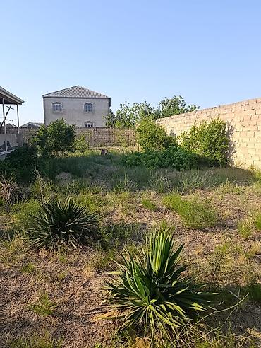 emircanda satilan evler: 1 otaqlı, 80 kv. m, Kredit yoxdur, Yeni təmirli — 8