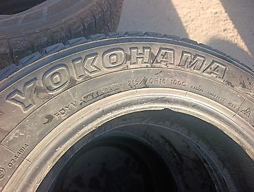 шины 21570 r16 зима: Шины 215 / 70 / R 16, Зима, Б/у, 1 шт, Внедорожные (АТ/МТ), Япония, Yokohama — 2