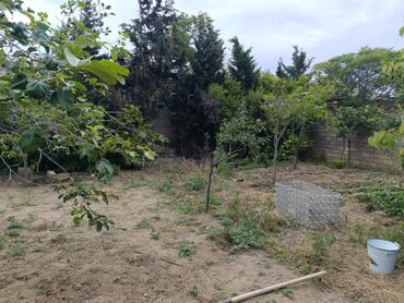 Bağ evlərinin satışı: Bakı, Corat, 260 kv. m, 6 otaqlı, Artezian quyusu, İnternet, Qaz -da lalafo.az — 9 Bağ evlərinin satışı: Bakı, Corat, 260 kv. m, 6 otaqlı, Artezian quyusu, İnternet, Qaz — 9