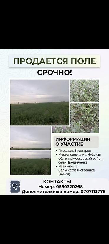 every day: 500 соток, Для сельского хозяйства — 1