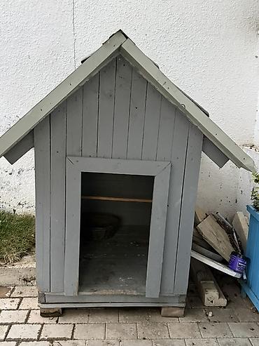 tap. az itler: İt yuvasi ölçüsü boyukdu iki qatli taxtayla tikilib taxtaların arasi — 2