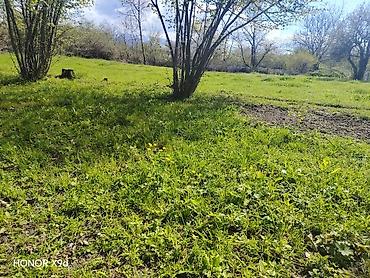 Torpaq sahələrinin satışı: Azərbaycanın ən gözəl guşələrindən biri olan Oğuz rayonu Xaçmaz — 27