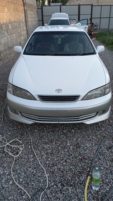 спринтер будка продается: Toyota Qualis: 2000 г., 2.5 л, Автомат, Бензин, Седан