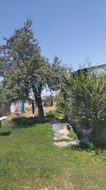 Продажа домов: Дом, 45 м², 4 комнаты, Собственник, Старый ремонт — 2