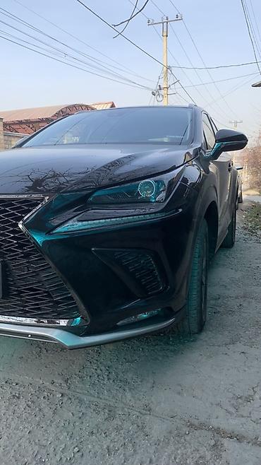 Lexus: Lexus NX: 2019 г., 2 л, Автомат, Бензин, Кроссовер — 8