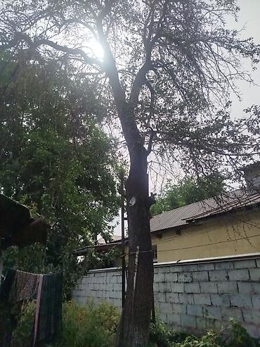 дрова мешок: Продаю на дрова — 6