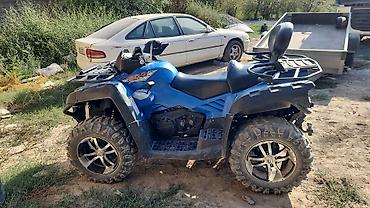 Мототехника: Квадроцикл CFMoto, Бензин, 800 куб. см, Взрослый — 1