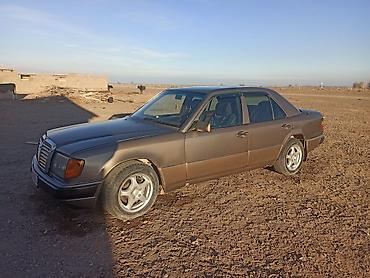 Mercedes-Benz: Mercedes-Benz W124: 1991 г., 2 л, Механика, Бензин, Седан — 6