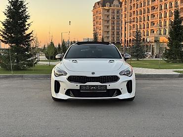 Продажа авто: Kia Stinger: 2019 г., 2 л, Автомат, Бензин, Фастбек — 3