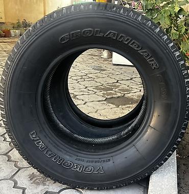 яктар: Шины Yokohama Geolandar G001 и Nokian Hakka (летние) - Бренд/линейка — 1