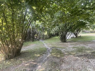 xoşbulaqda ev satılır: 2 otaqlı, 11 kv. m, Təmirsiz